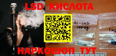 СК Краснознаменск