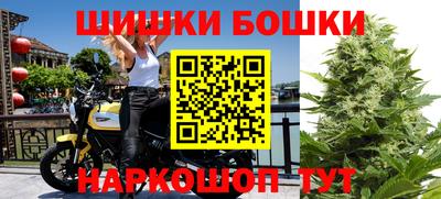 СК Краснознаменск
